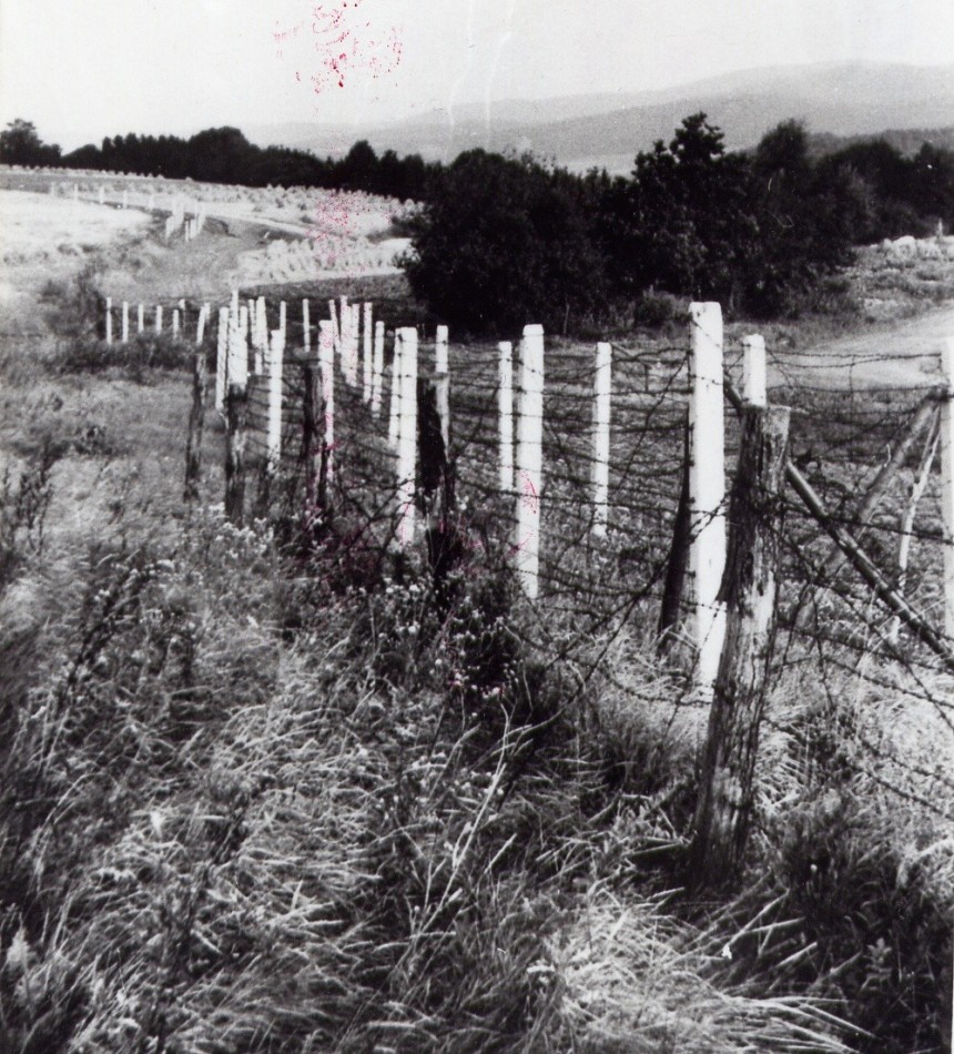 Grenzzaun um 1952