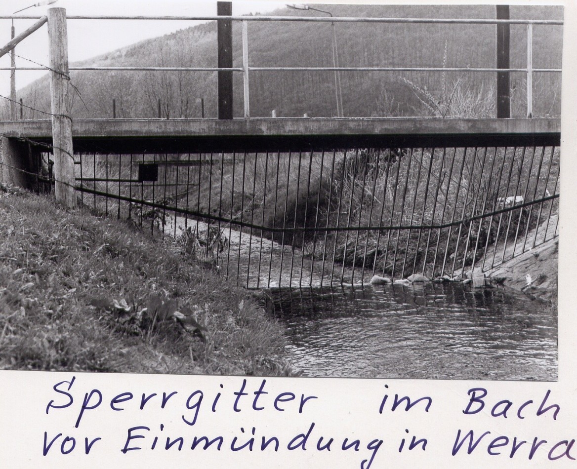 Sperrgitter im Bach bei Wahlhausen