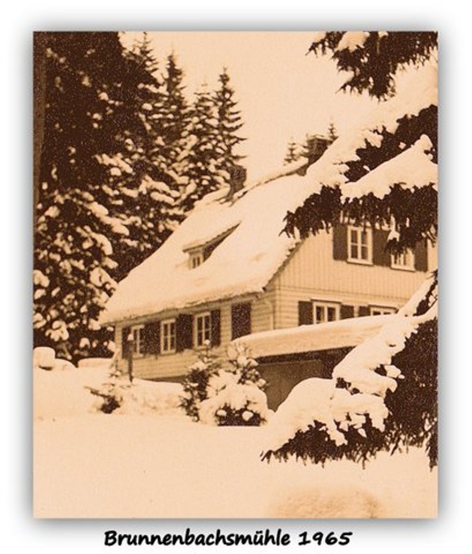 BGS Harz 003