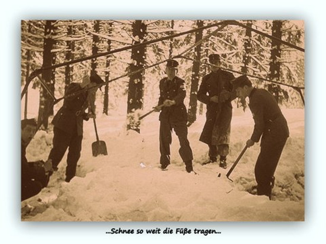 BGS Harz 006