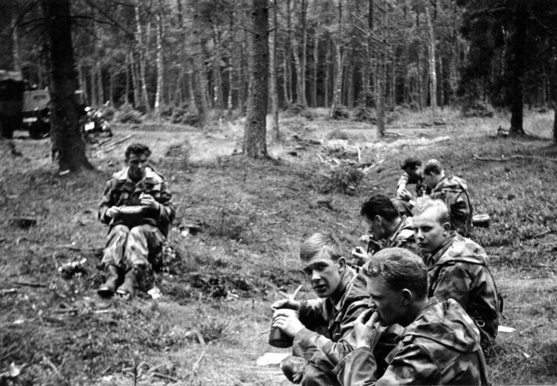 Munster-Nord 7