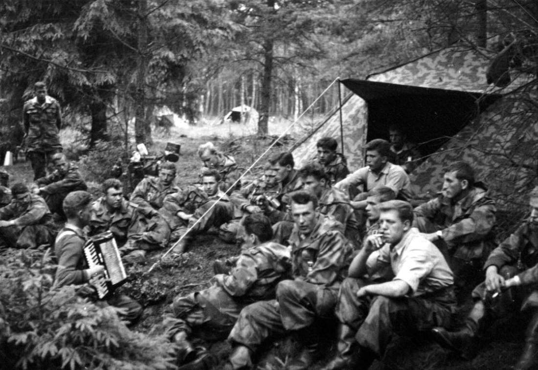 Munster-Nord 8