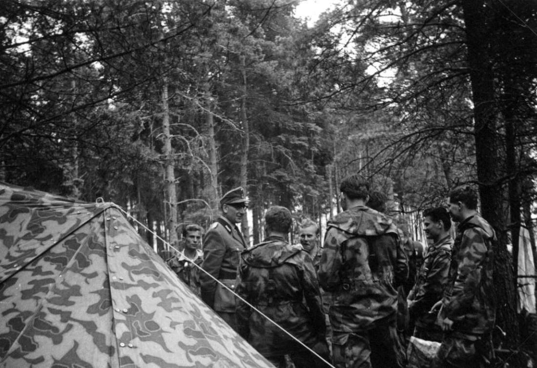 Munster-Nord 12