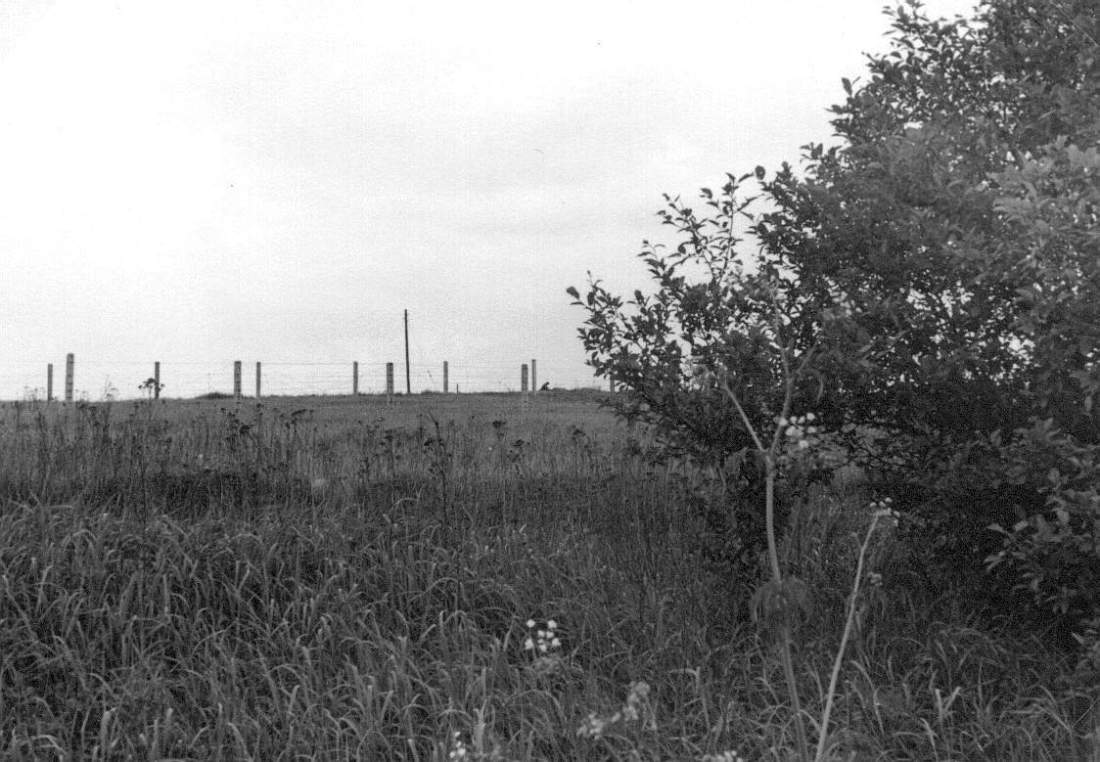 Zonengrenze 1965 2