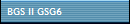 BGS II GSG6