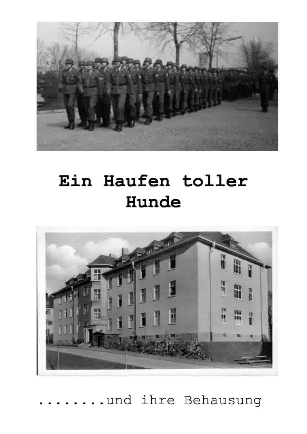 Ein Haufen toller Hunde