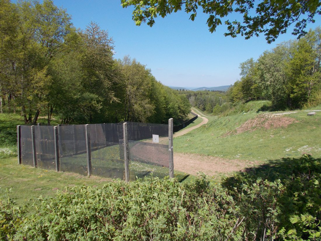 Schifflersgrund Foto 3